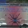 2008 로슈규탄국제공동행동